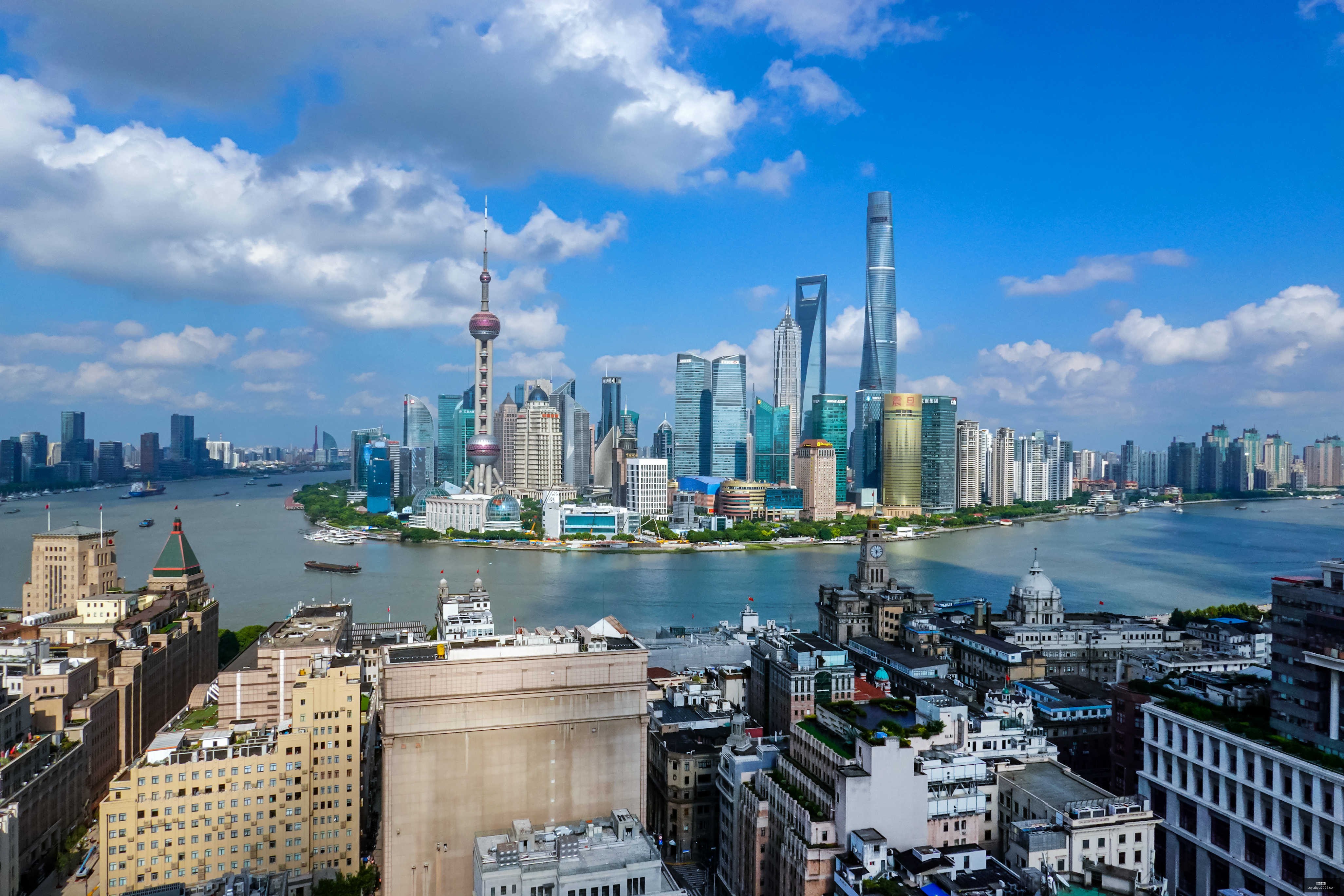 山东干部任,命前瞻,名省属高校,博鱼体育官网,博鱼体育app下载